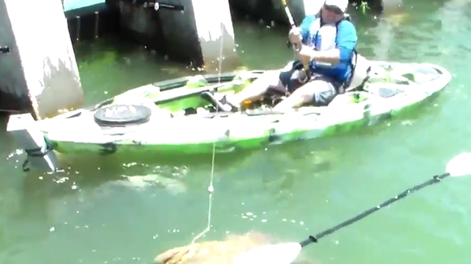 A Florida fisherman caught a disturbingly large fish last weekend