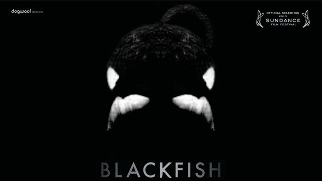 "Blackfish" tickets on sale today