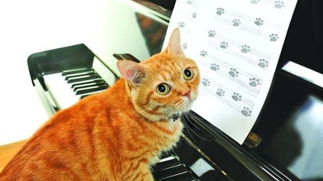 Canines, Cats & Cabaret fundraiser to benefit Orange County Animal Services