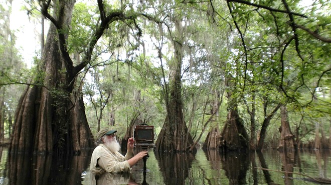 Clyde Butcher's photographs exalt the Florida Everglades; Michael Covello's installation deranges the senses