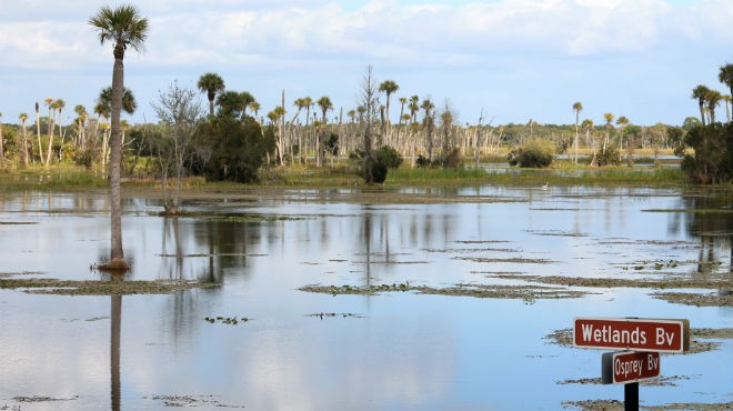 Orlando Wetlands Park: Underneath the scenic vistas lies a water-cleansing powerhouse