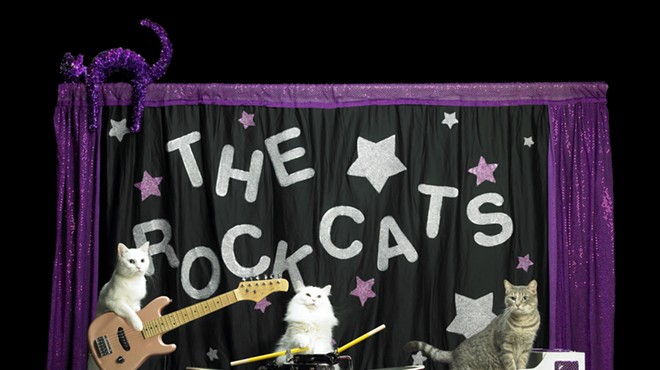 See the world's only cat band at the Famous Cat Circus