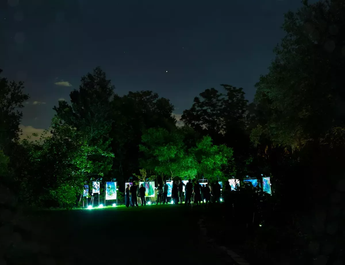 Image: Best Glow-in-the-dark Outdoor Art Gallery