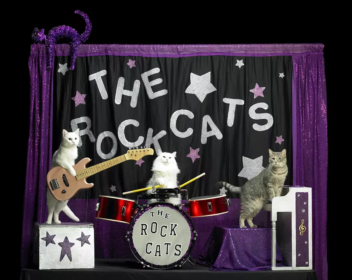 Image: Best! Show!! Ever!!!