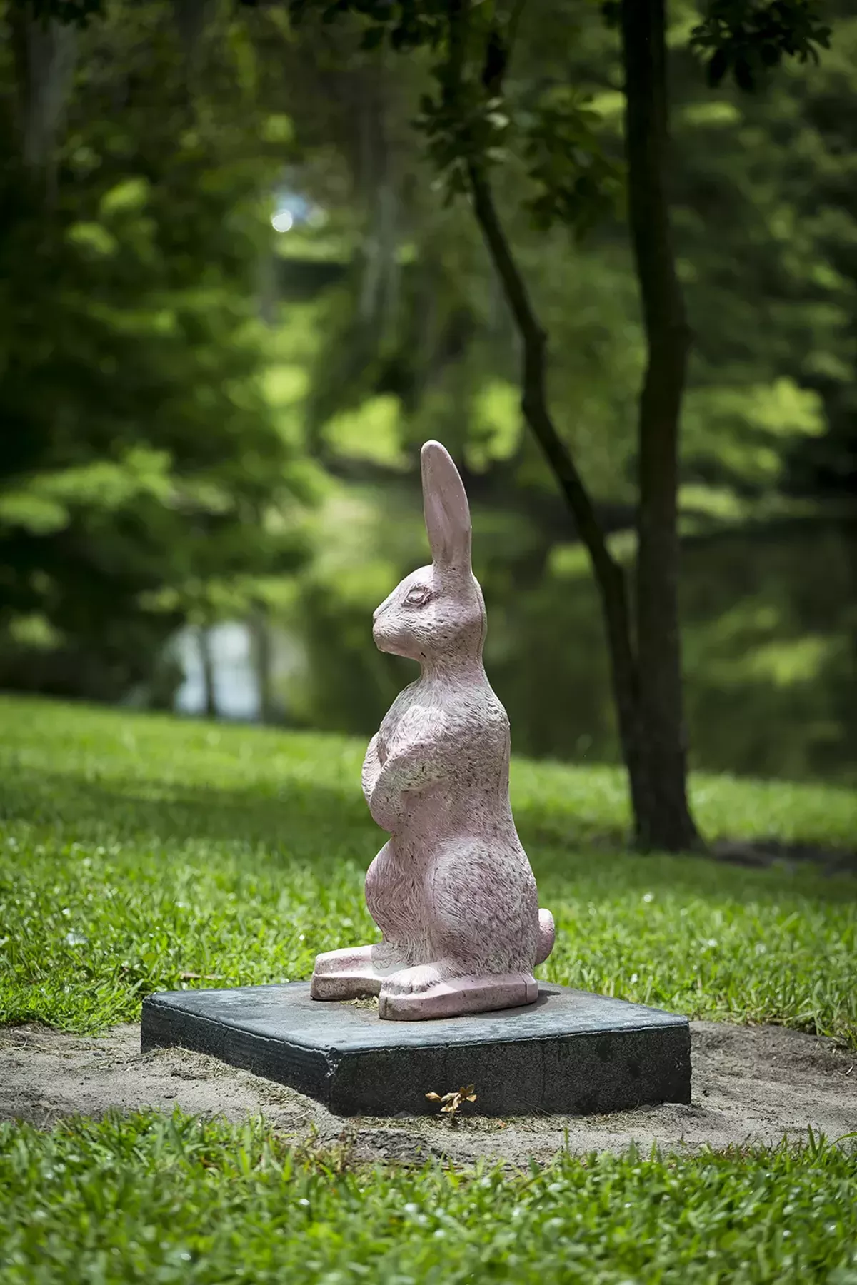 Image: Best Pink Bunny
