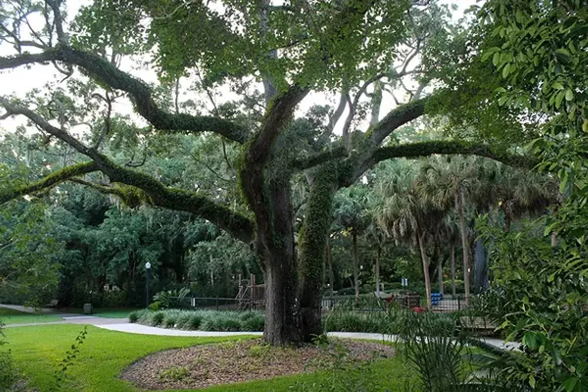 Mayor Carl T. Langford Park