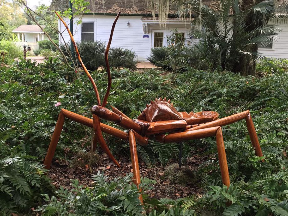 Exploring the Big Bug Invasion at Harry P. Leu Gardens