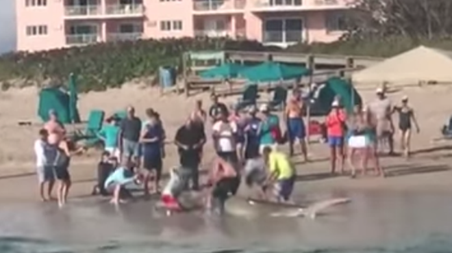 Florida fisherman criticized for using 15-foot hammerhead shark as selfie prop