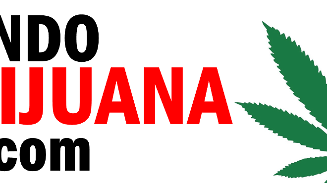 Orlando Marijuana Conference & Expo