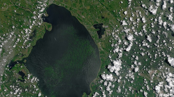 Florida legislators are urging Rick Scott to declare a state of emergency over Lake Okeechobee's toxic algae problem