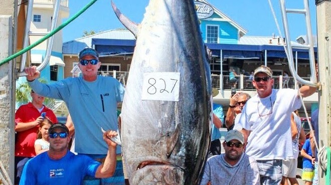 Look at this massive 826-pound tuna, which is now the new Florida state record