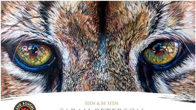 Sarah Peterson: Seen & Be Seen
