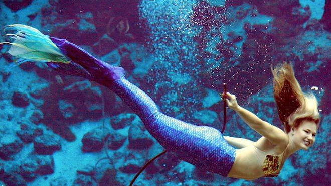 Weeki Wachee Mermaids visiting Sea Life Aquarium this week