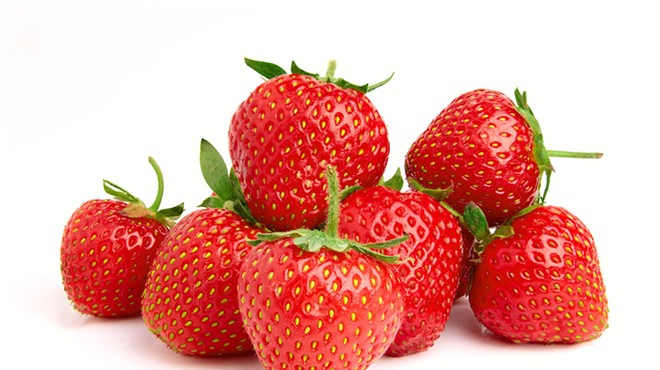 Researchers at University of Florida have developed a new, stronger and tastier strawberry