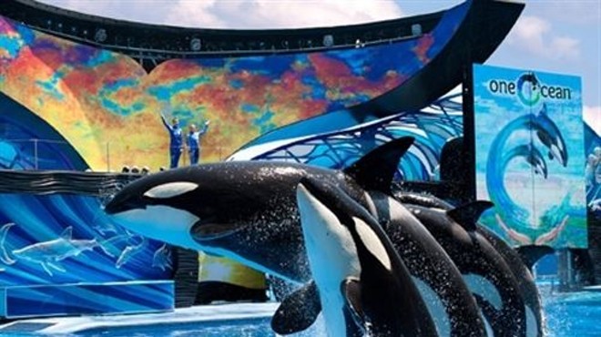 Out of all the Orlando theme parks, SeaWorld had a pretty crappy year