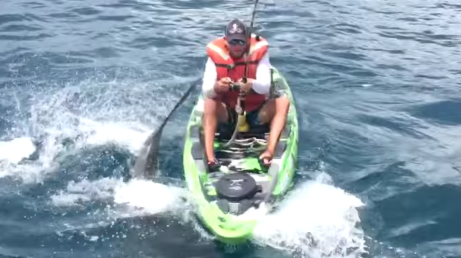 A Florida fisherman was knocked off his kayak by a shark, still reels it in