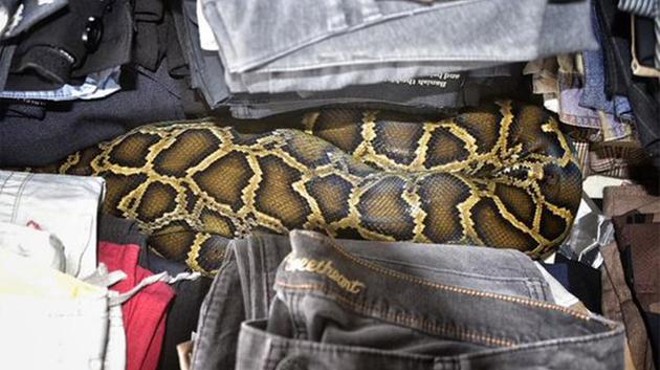 Is that a python in your pants?