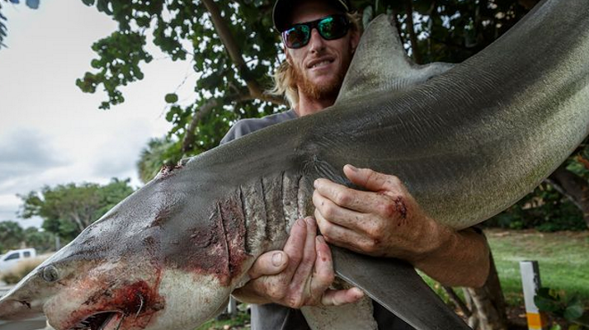 Florida angler bitten by shark claims he caught same shark and now plans to eat it