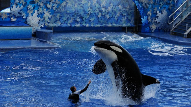 Major hotel expansions rumored for SeaWorld Orlando and Busch Gardens
