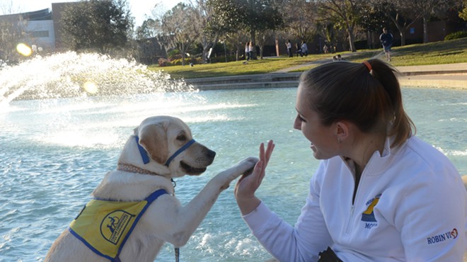 UCF gives service dogs and their handlers the green light to live on campus