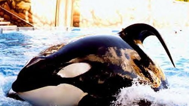 SeaWorld reports that Tilikum the orca is seriously ill