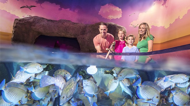 Sea Life Orlando Aquarium will launch multi-sensory fish feeding experience