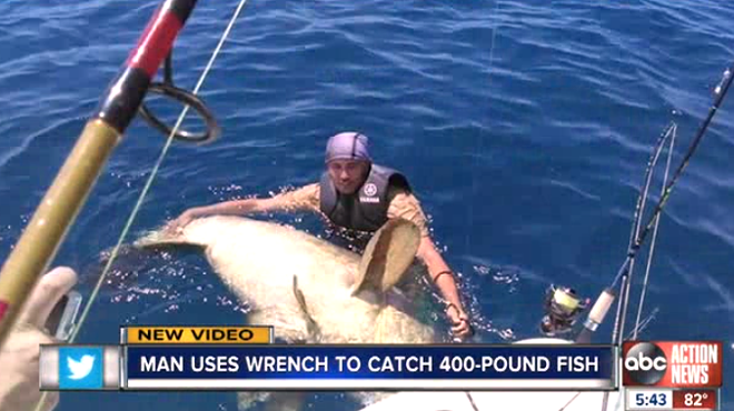 A St. Petersburg fisherman caught a 400-pound Goliath grouper with a wrench