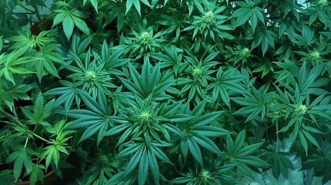 Medical marijuana opponent says he plans to raise $10 million to defeat Amendment 2