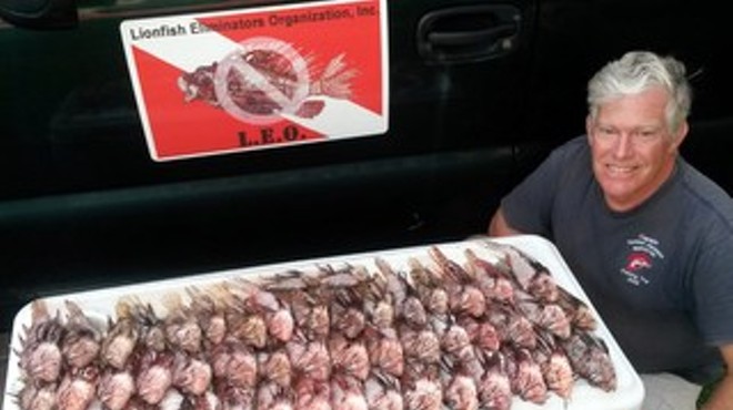 Florida man does good: scuba diver has removed over 600 lionfish from local waterways