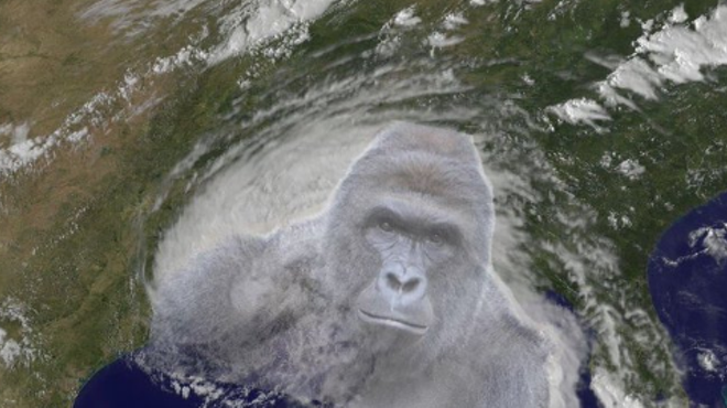 There's a petition to rename Tropical Storm Hermine to Harambe
