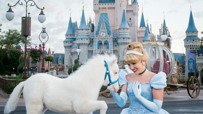 Cinderella has a new fluffy pony at Disney World