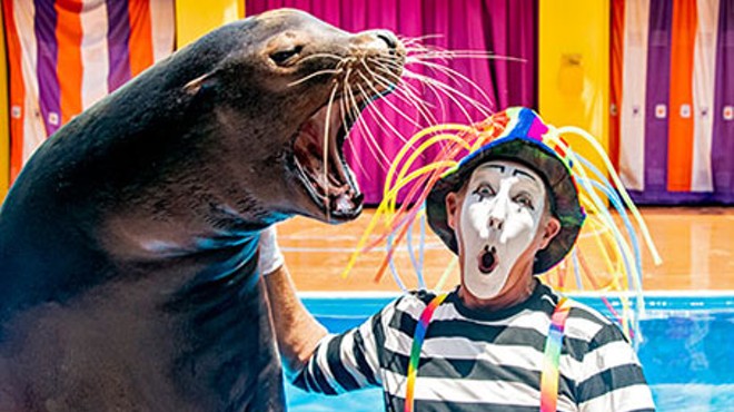 One of SeaWorld Orlando's mimes during the Sea Lions Tonight show