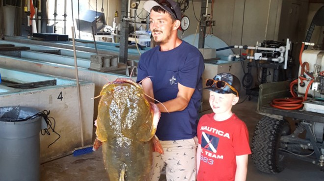 Florida man sets new record by catching a 69-pound catfish