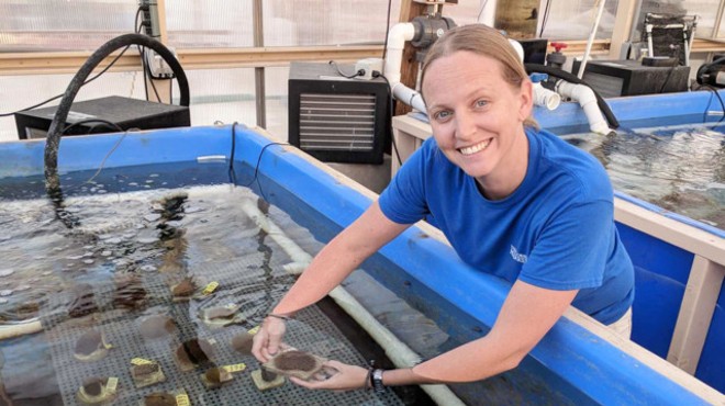 Florida Aquarium achieves major breakthrough to save Atlantic coral