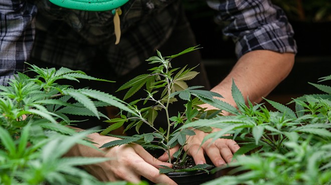 Florida Chamber of Commerce actively opposing amendment to legalize recreational marijuana