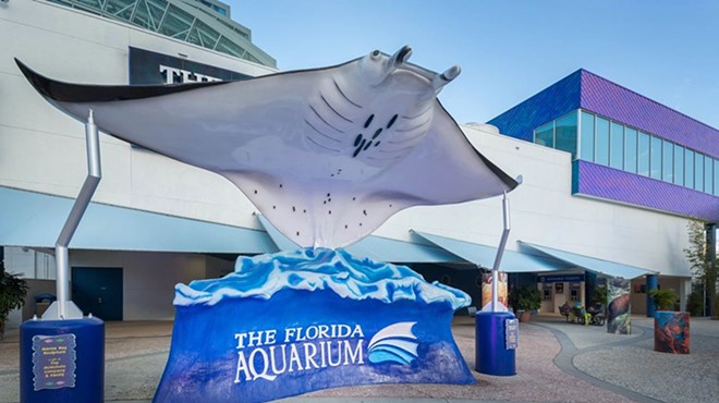Tampa's Florida Aquarium announces multimillion dollar updates, 25th anniversary adult slumber party (6)