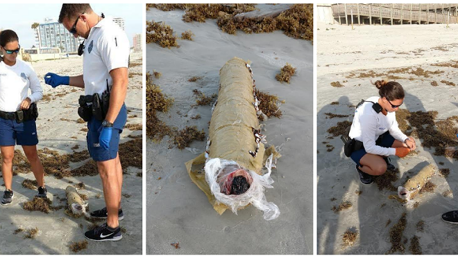 ICYMI: An 11-pound 'blunt' washes up on the beach, Rick Singh wants the Mouse to pay his taxes and more
