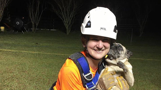 Rescuers save Florida pug from 30-foot sinkhole