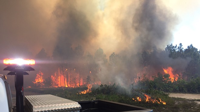 Fire crews fight 300-acre brush fire near International Drive