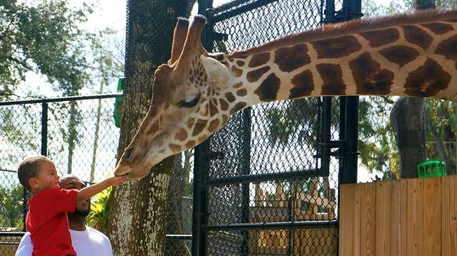 Central Florida Zoo plans $85 million renovation