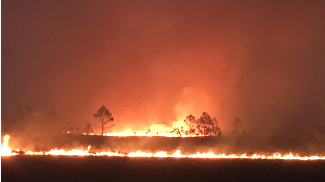 Military exercise sparks 8,000-acre wildfire at Florida Air Force range