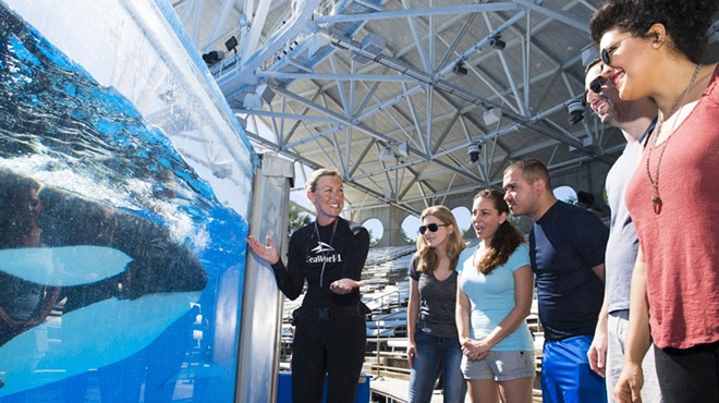 SeaWorld's latest tour lets you get up-close with killer whales