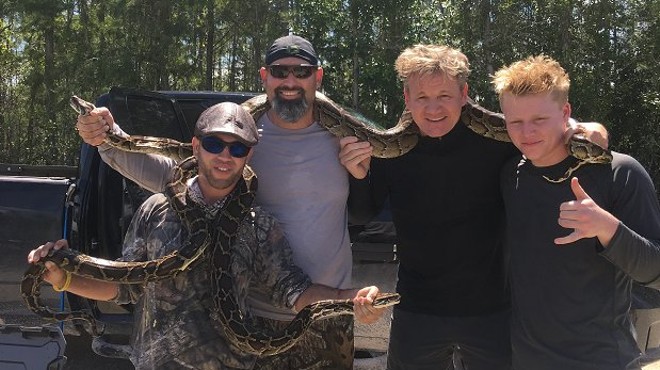 Here's a photo of Gordon Ramsay posing with Florida pythons, which he then cooked and ate