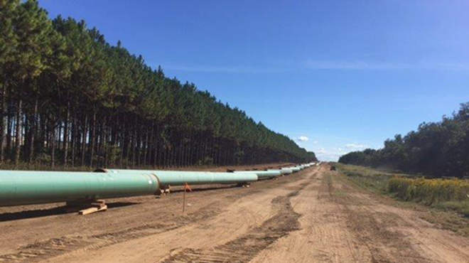 Federal court rejects Sabal Trail pipeline approval, orders environmental review
