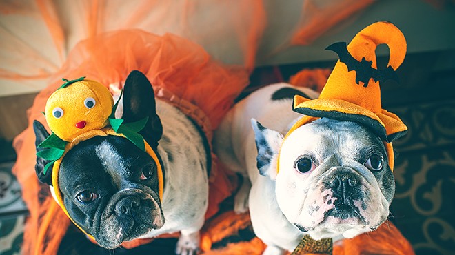 Mennello Museum invites you to dress up your puppers and doggos for Howl O' Woof in the sculpture garden