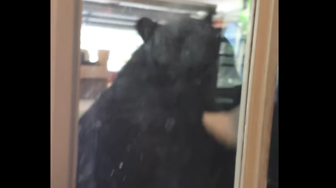 A Seminole County man chased a massive bear out of his garage