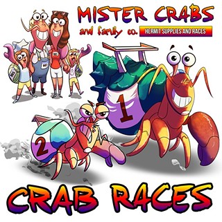 Hermit Crab Races
