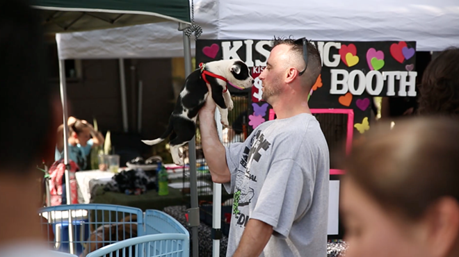 VIDEO: Highlights from Puppy Love Dog Festival