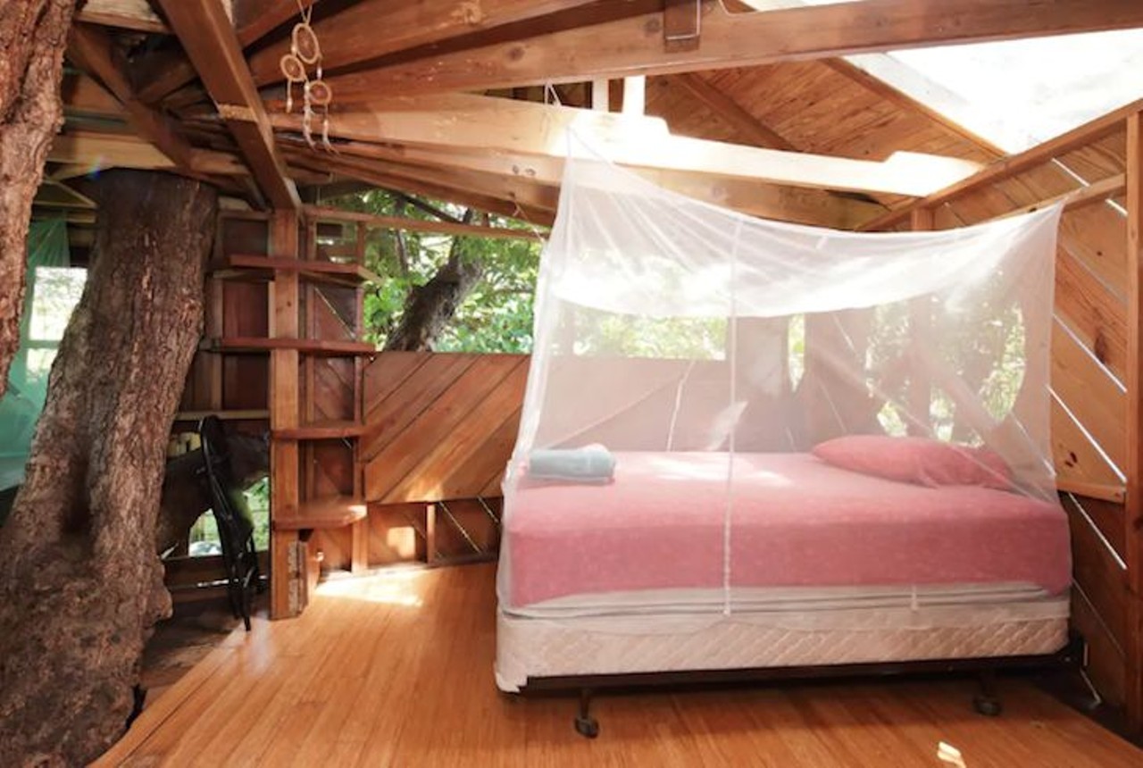 Treehouse Canopy Room: Permaculture Farm
2 guests, 1 bedroom, 1 bed, 1 shared bath
Estimated price per night: $65 
This treehouse also has a &#147;Bahamas-style bathroom&#148; and outdoor shower, both with running hot water. 
Photo via Airbnb