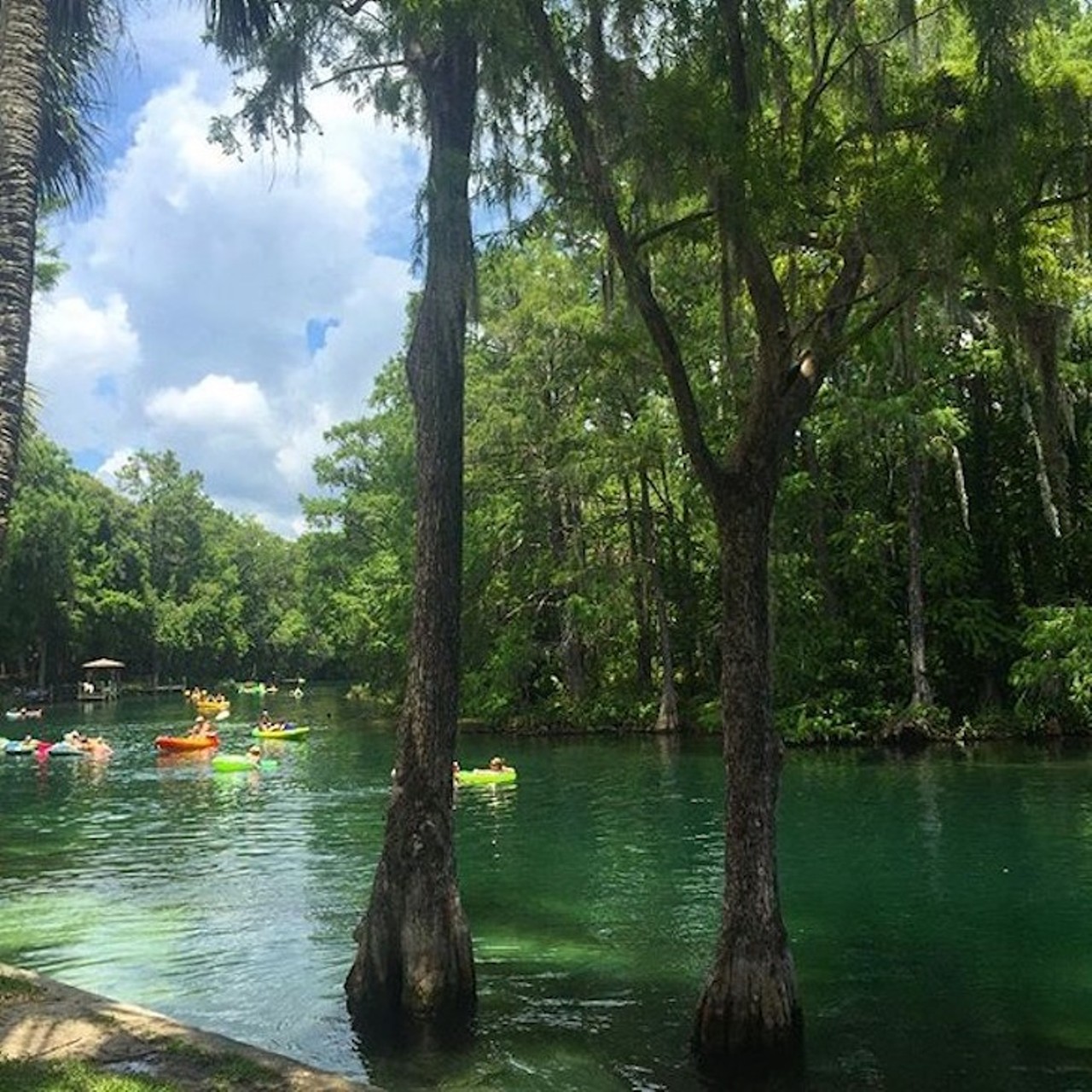 K P Hole and the Rainbow River
9435 SW 190th Ave., Dunnellon, 352-489-3055
Distance: About 1 hour and 30 minutes from Orlando
Photo via floridahikes/Instagram